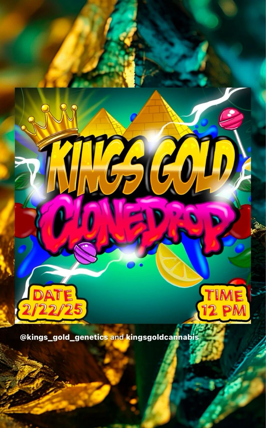 TROPICAL BERRY RUNTZ #1 (CLONE)