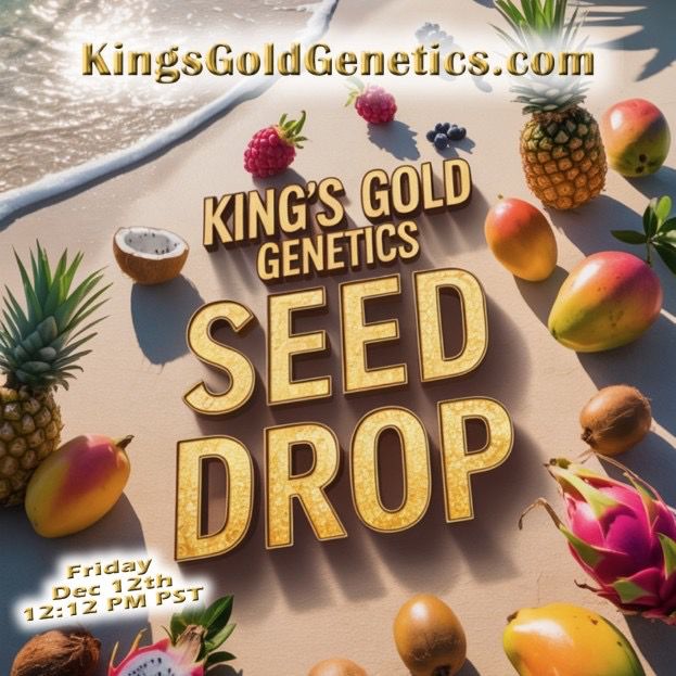 TROPICAL BERRY RUNTZ S1'S - (8 SEEDS)