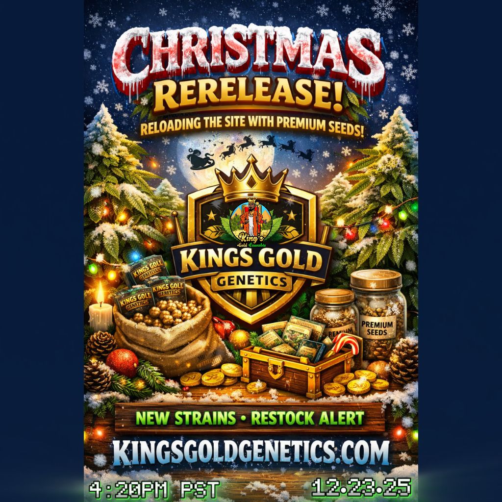 STUNT 101 - (8 SEEDS)