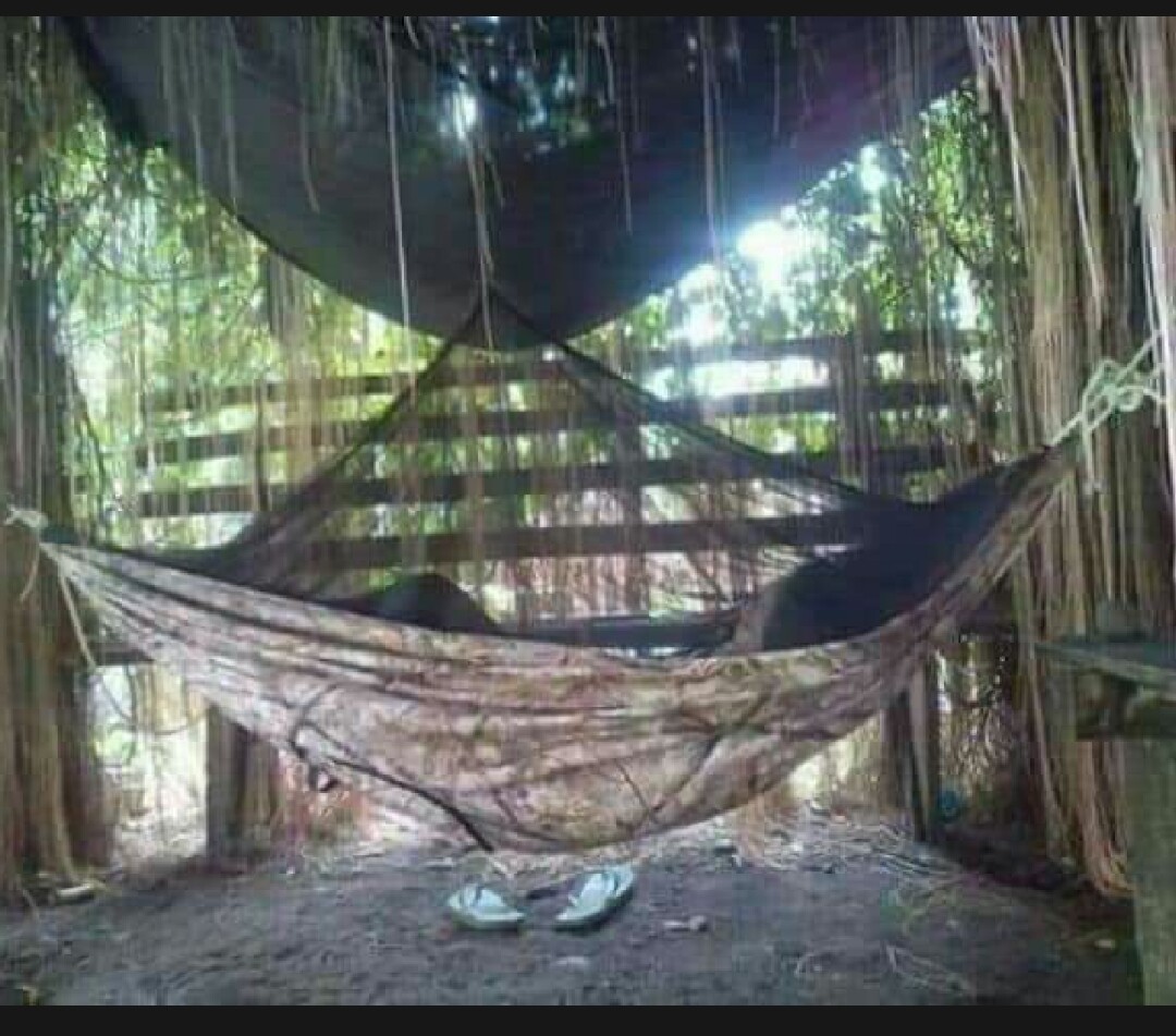 Camping Military Hammock with Net and Strong Tree Straps