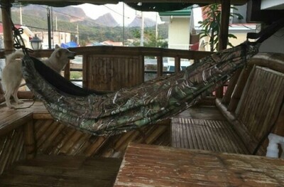Camping Military Hammock with Net and Strong Tree Straps
