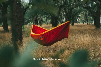 Hammock