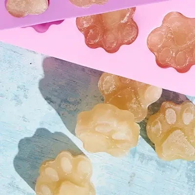 Paw Print Silicone Pet Treat Moulds