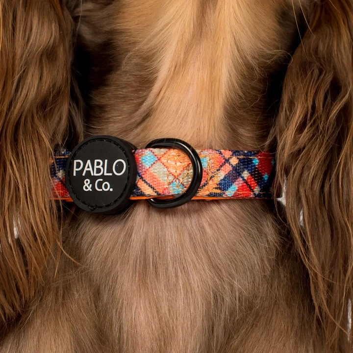 Tartan: Dog Collar