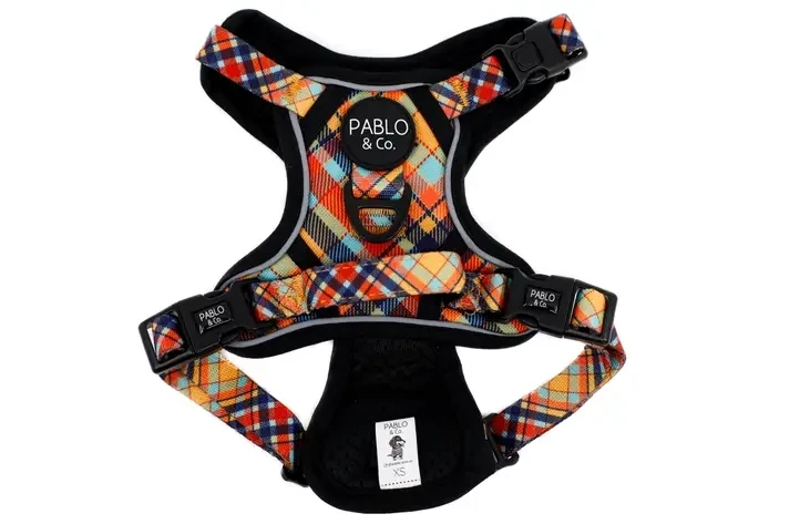 Tartan: No Pull Adventure Dog Harness