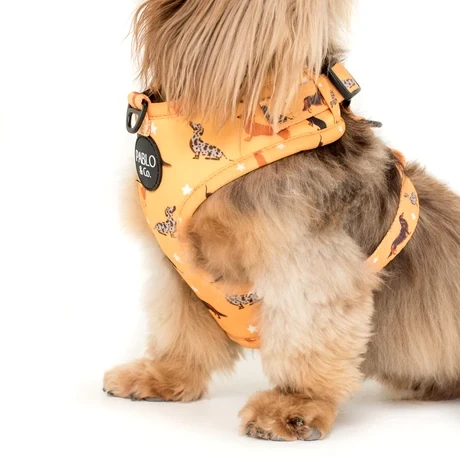 Dachshund Crew: Adjustable Dog Harness