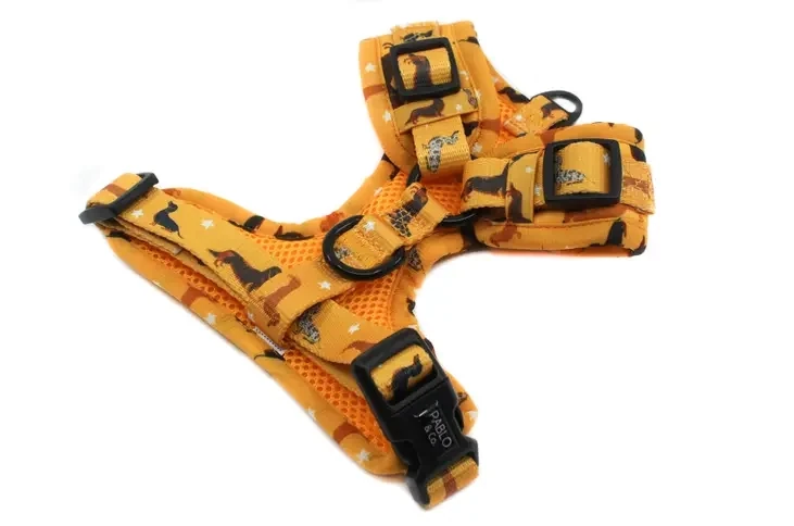 Dachshund Crew: Adjustable Dog Harness