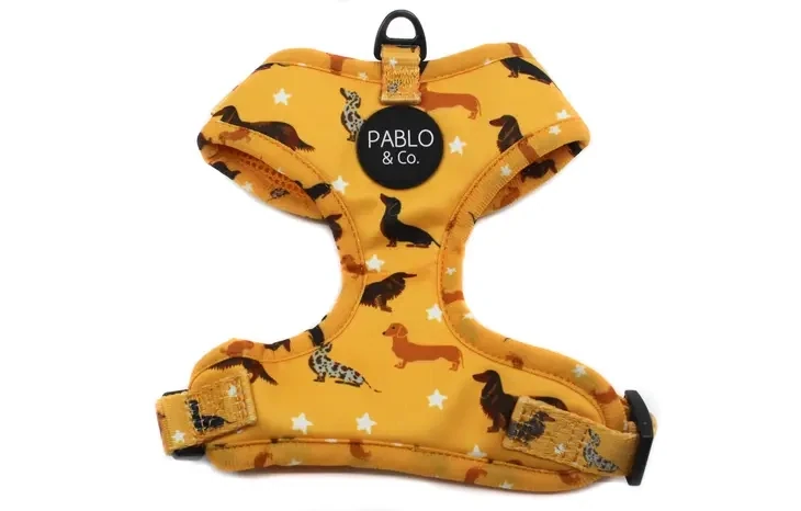 Dachshund Crew: Adjustable Dog Harness