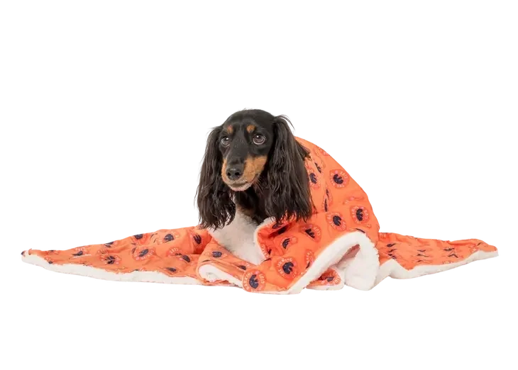 The Bark Club: Dog Blanket