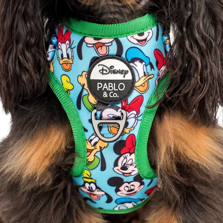 Mickey &amp; Friends - Blue: Adjustable Harness