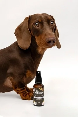Colloidal Silver Healing Mist