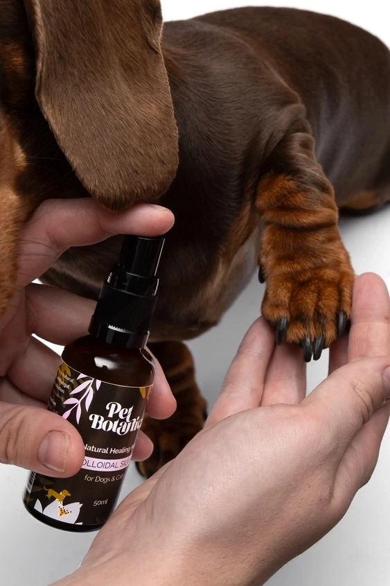 Colloidal Silver Healing Mist