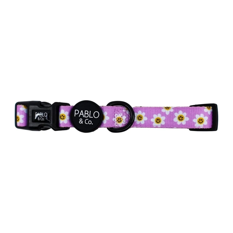 Lilac Smiley Flowers: Dog Collar