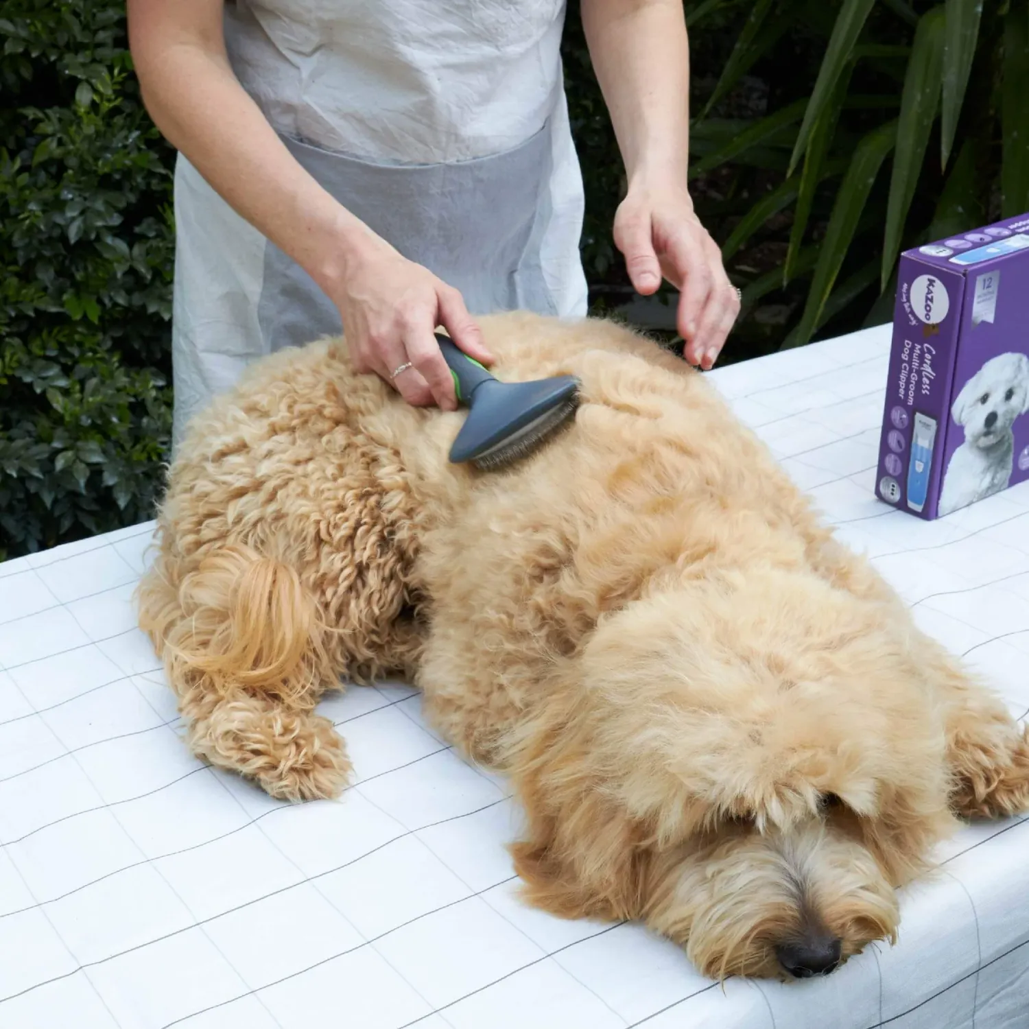 Slicker Brush