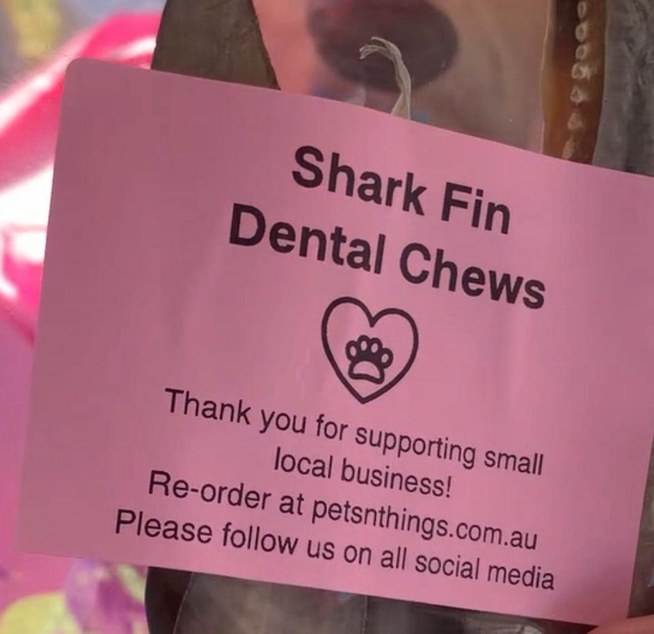Value 10 Pk - Shark Blade Dental Chews