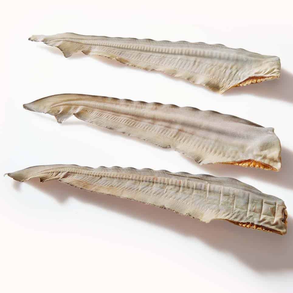 Shark Blade- Dental Chew -