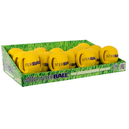 Interball - Blue - Small