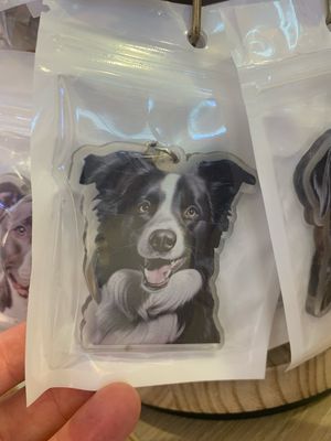Border Collie