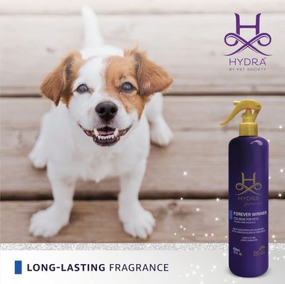 Grooming Essentials