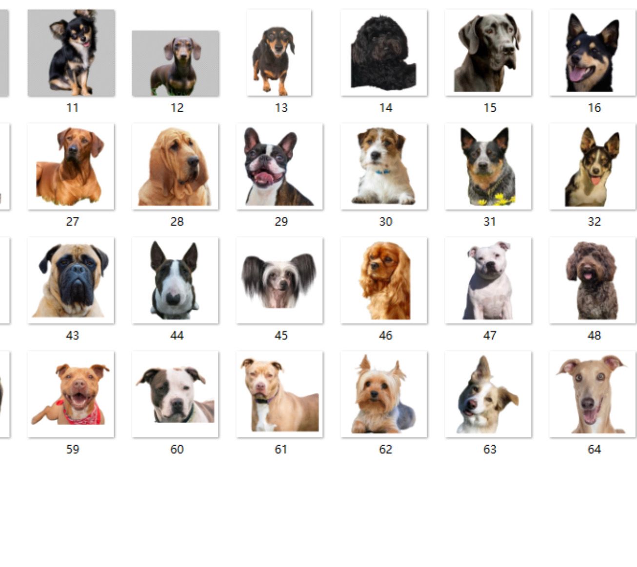 Dog Breed Acrylic Keychains