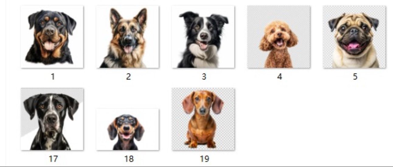 Dog Breed Acrylic Keychains