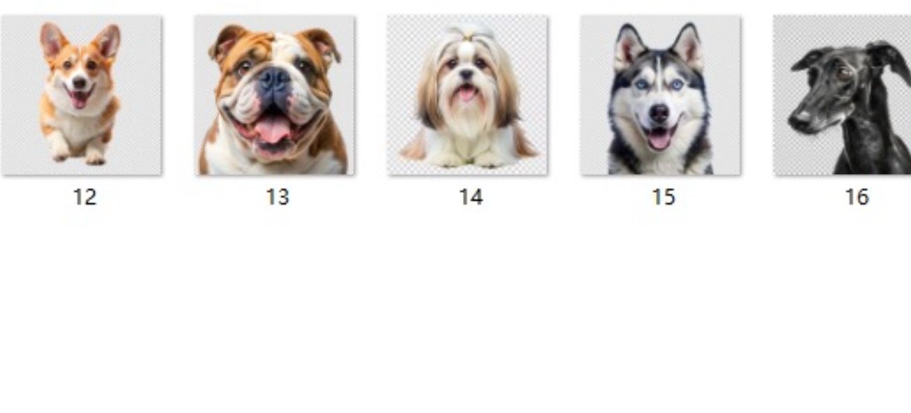 Dog Breed Acrylic Keychains