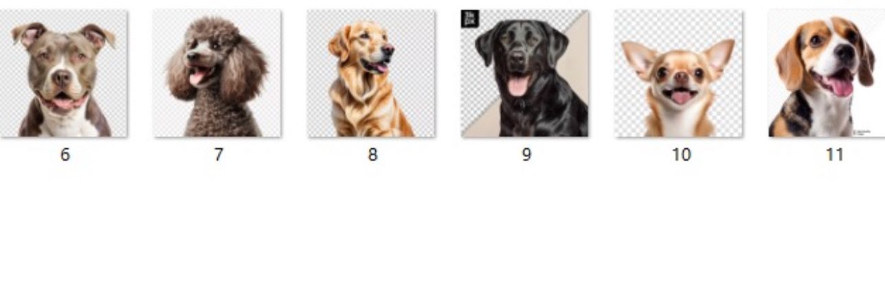 Dog Breed Acrylic Keychains