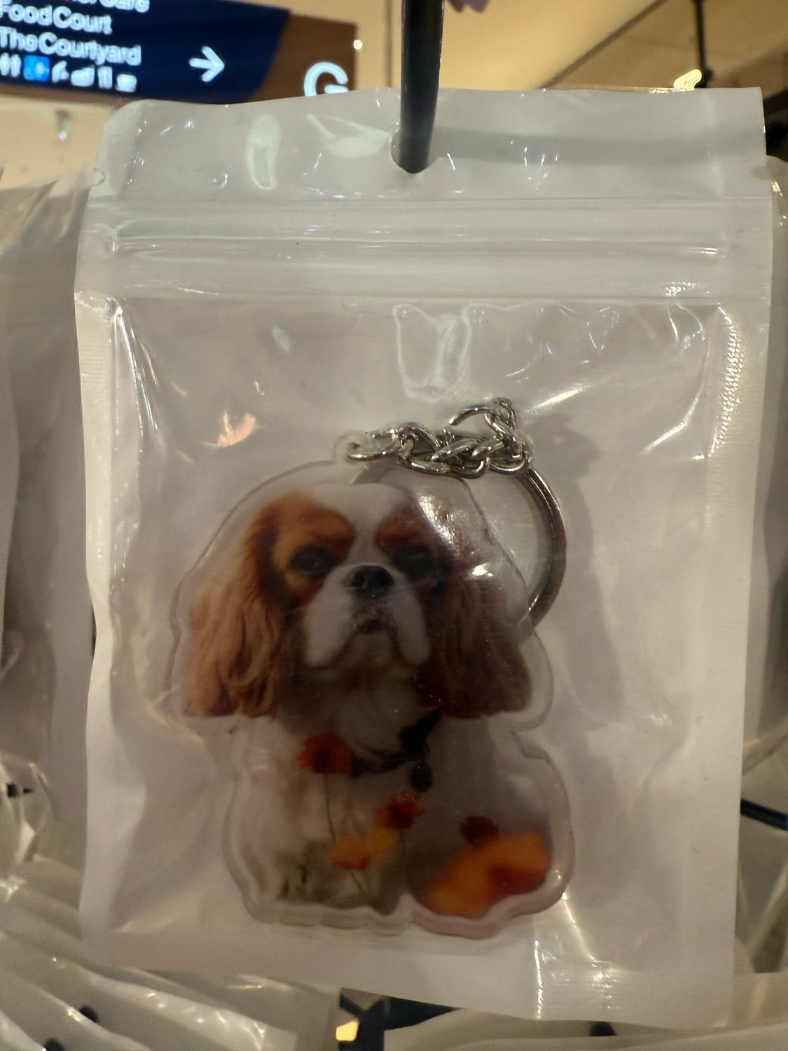 Dog Breed Acrylic Keychains