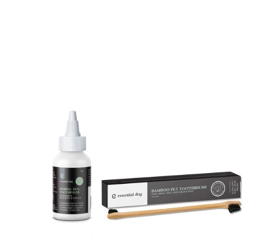 Toothpaste &amp; Toothbrush