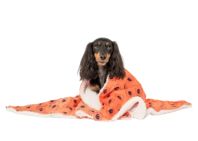 The Bark Club: Dog Blanket