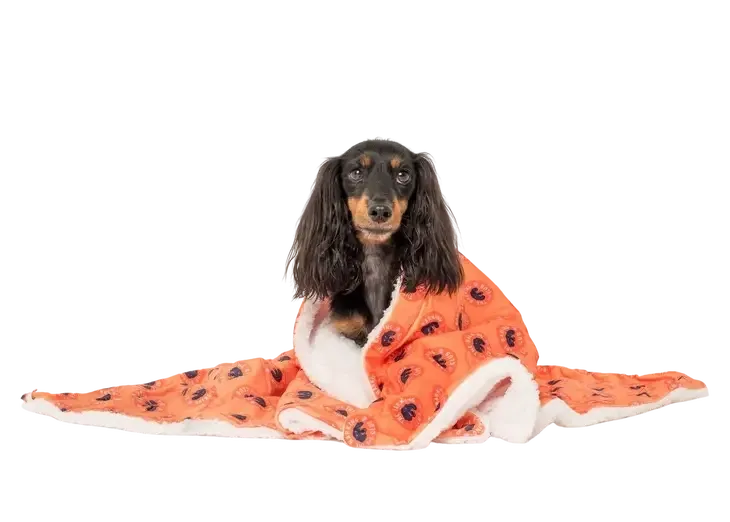 The Bark Club: Dog Blanket