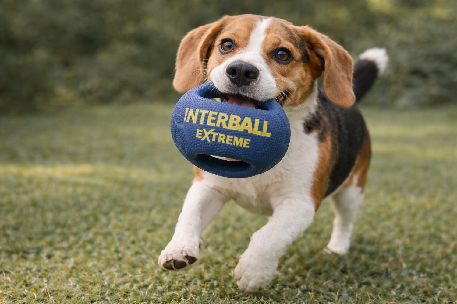 Interball Extreme - Blue - Small