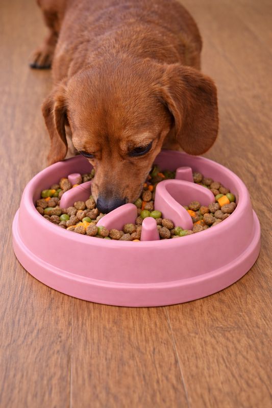 Pink Slow Feeder Bowl
