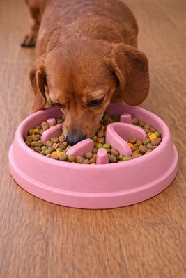 Pink Slow Feeder Bowl