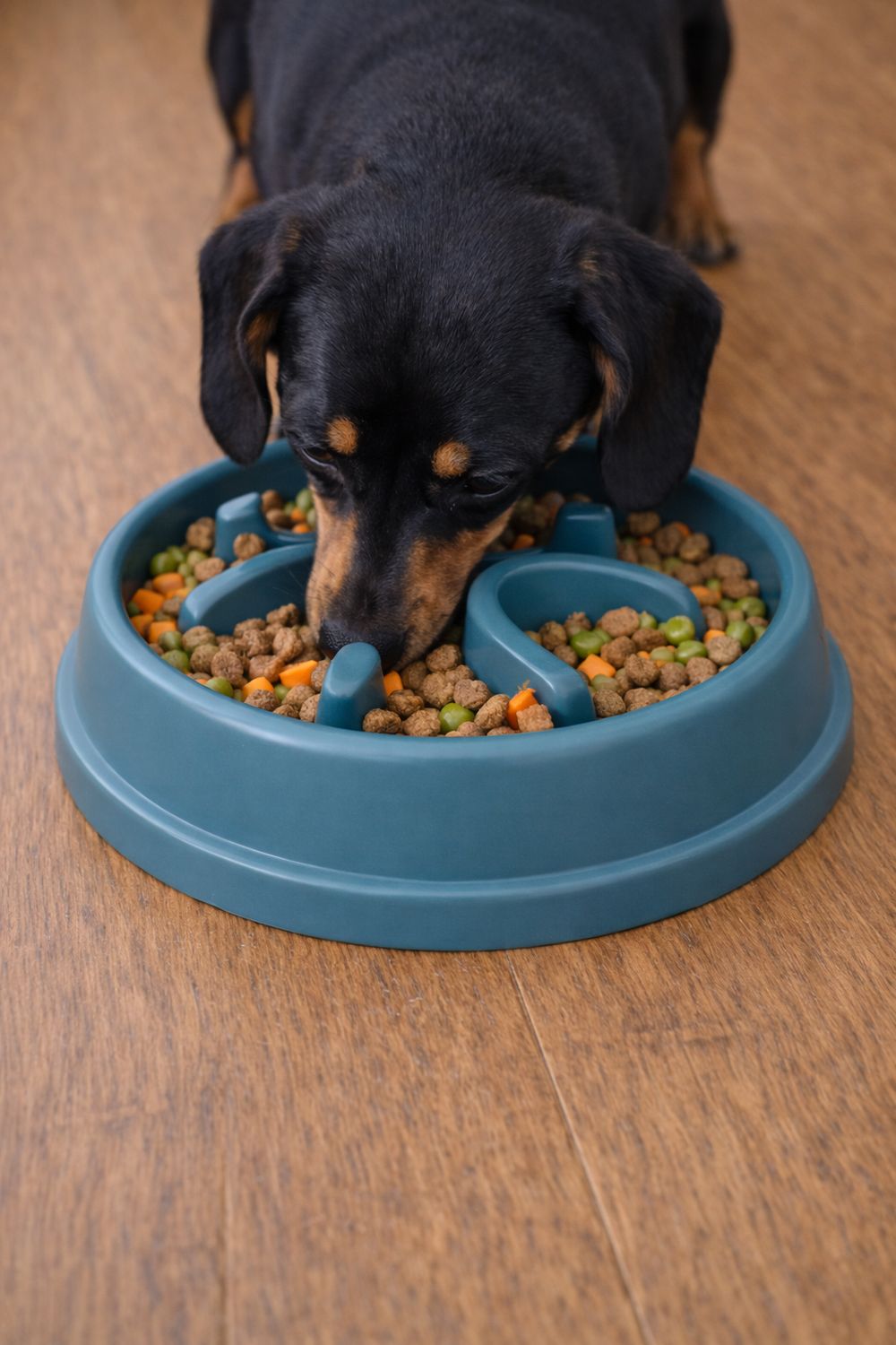 Blue Slow Feeder Bowl