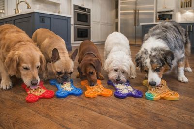 Licky Mat - Multi Colours