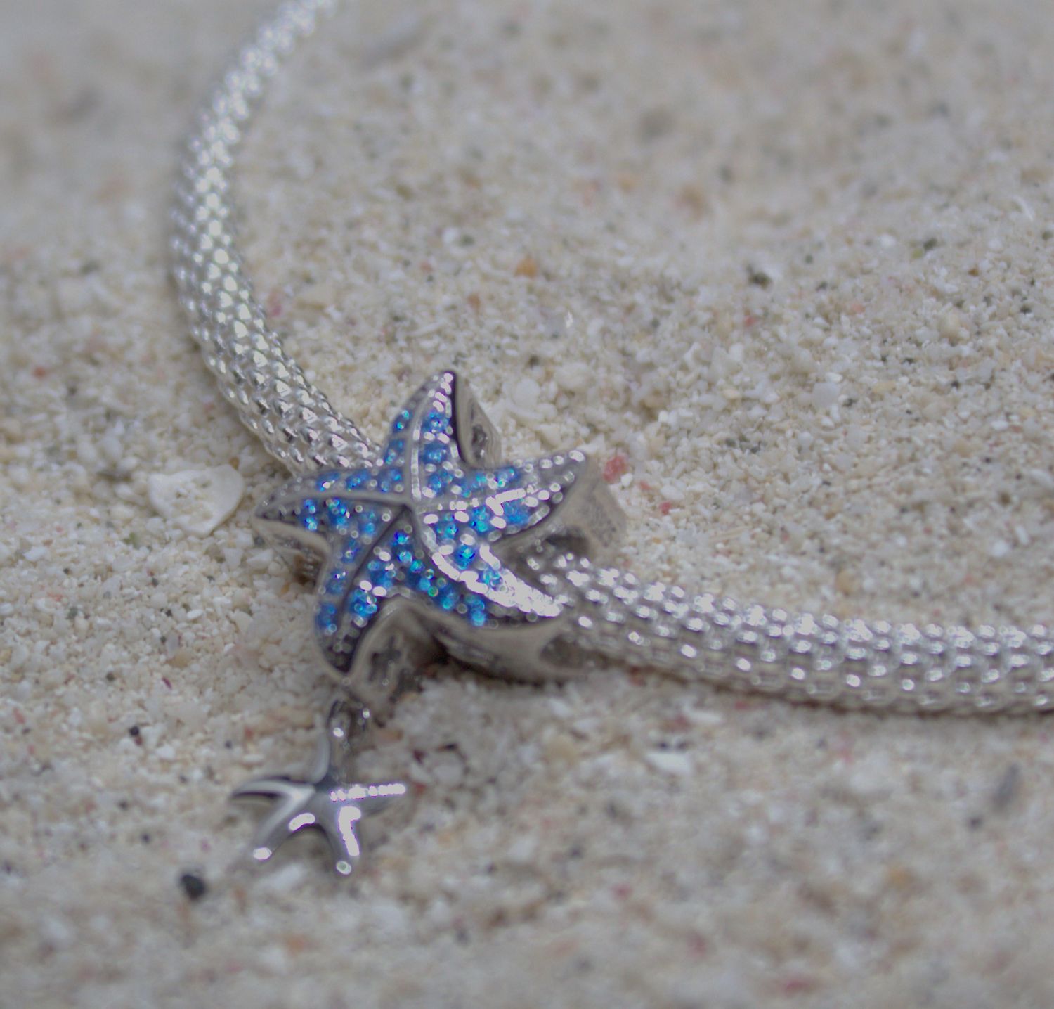Large Starfish