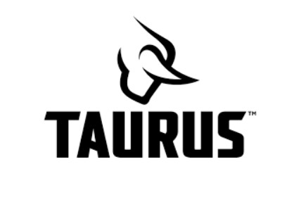 TAURUS - In Waist Band Holsters
