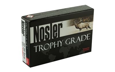 NOSLER 30-06 165GR AB 20/200