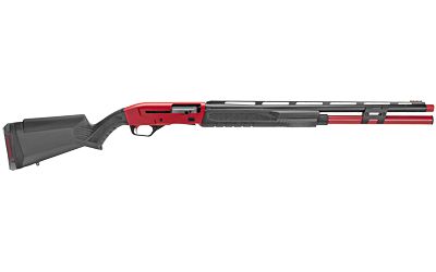SAV RENEGAUGE 12GA COMP 24" 9RD