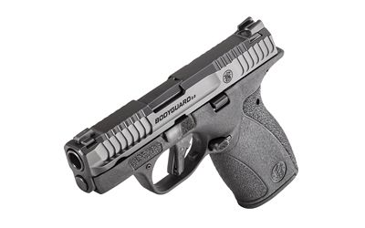 S&amp;W BDYGRD 2.0 380ACP 2.75" 12RD NTS
