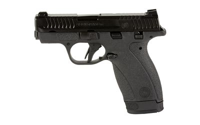 S&amp;W BDYGRD 2.0 380ACP 2.75&quot; 12RD TS