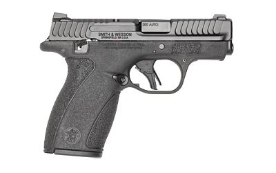 S&amp;W M&amp;P BDYGRD 2.0 380ACP 10RD TS