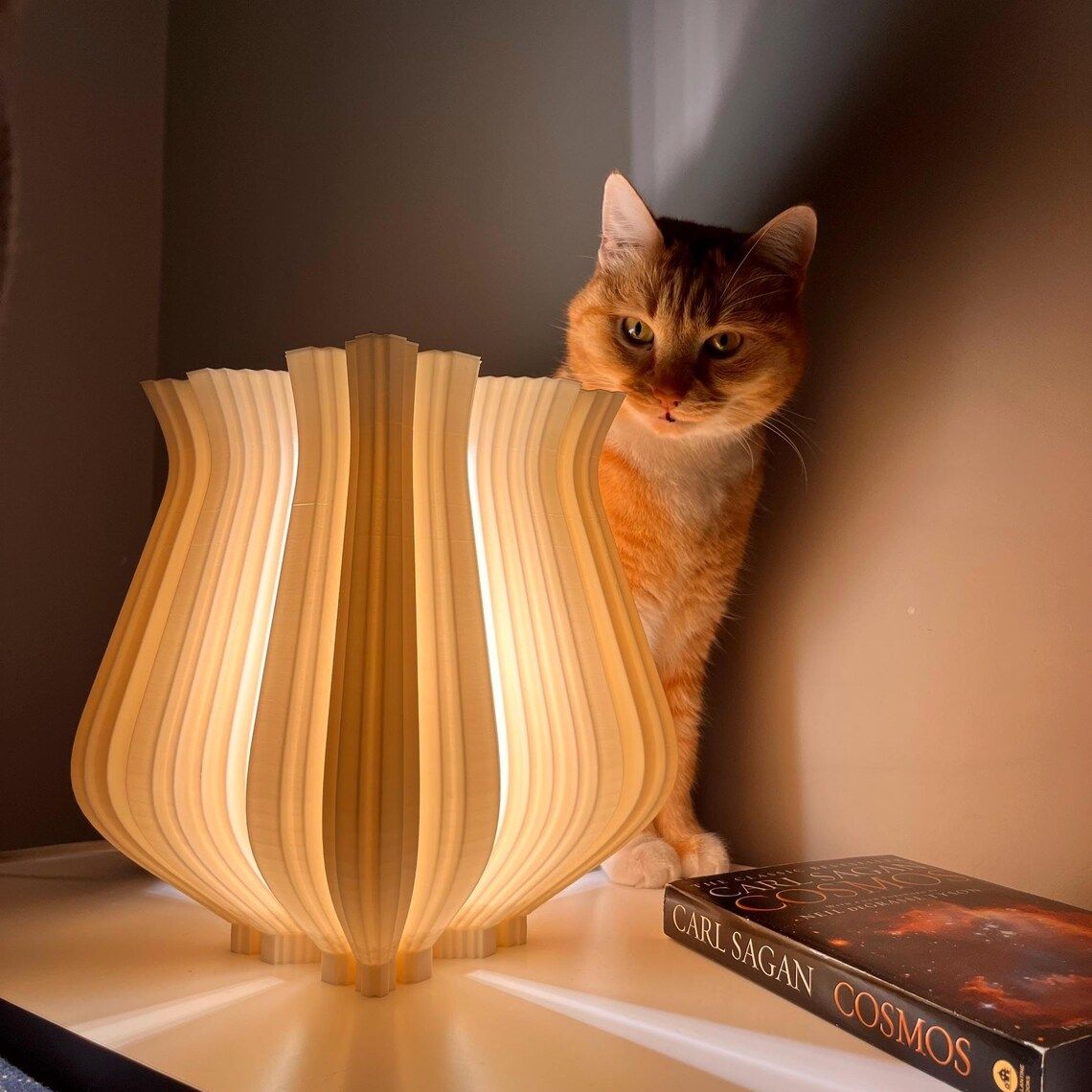 Shevitsa Table Lamp