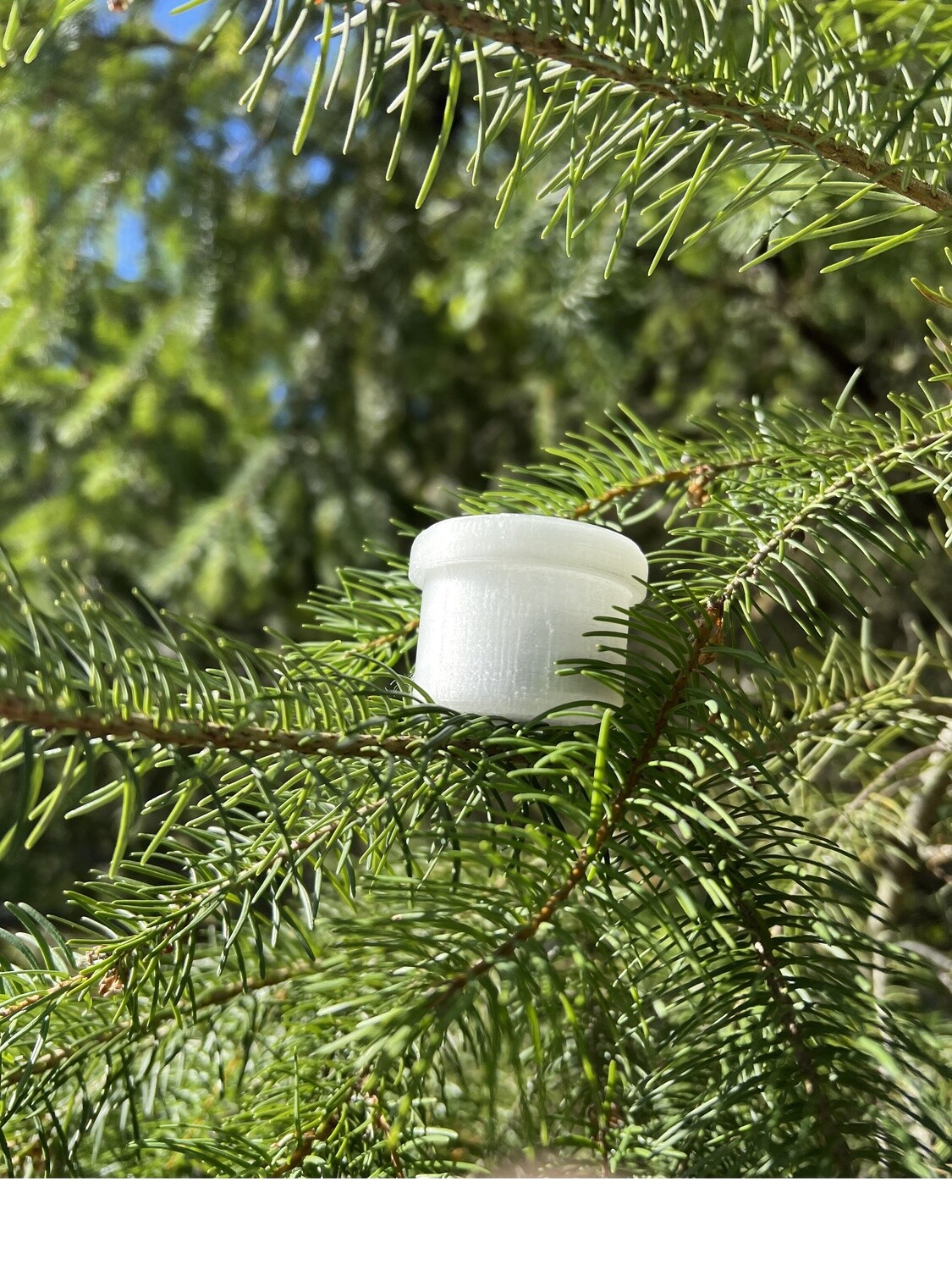 Capsule 3D Printed