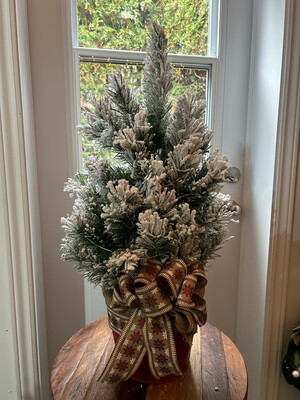 Sapin