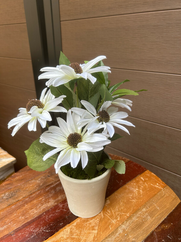 Arrangement fleurs rudbeckie blanches