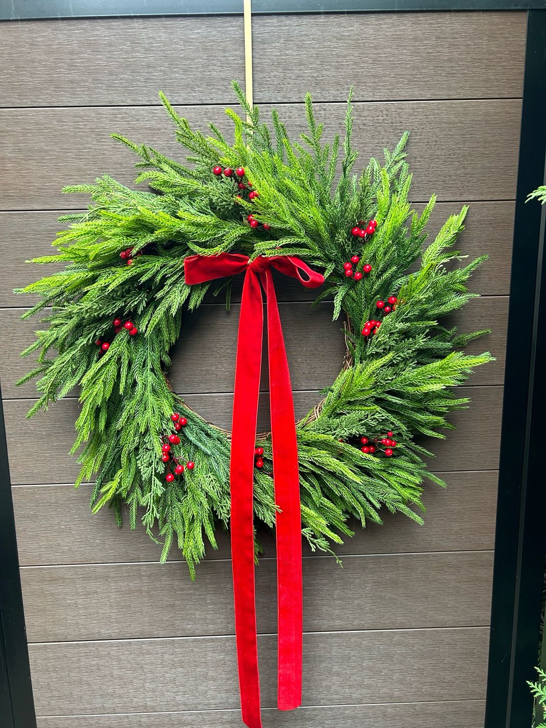 Couronne de branches de pin Norfolk 