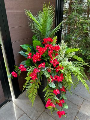 Jardinière
