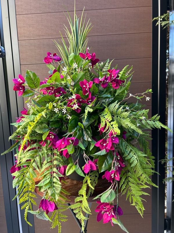 Jardinière extérieure fleurs de bougainvilliers prunes